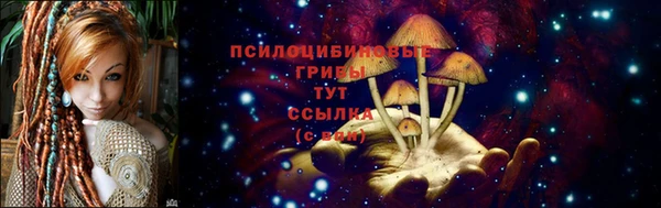 ешки Алексеевка