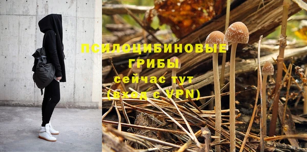 прущий лед Армянск