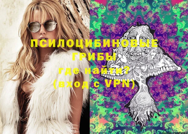 ешки Алексеевка