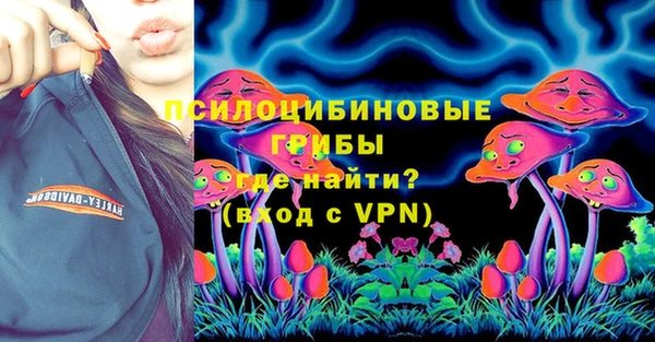apvp Абаза