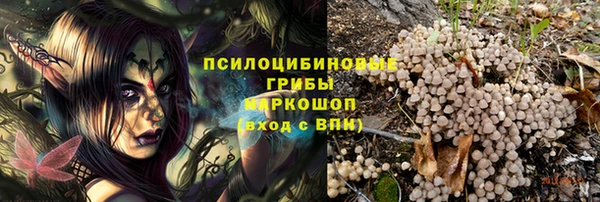 jwh Аркадак